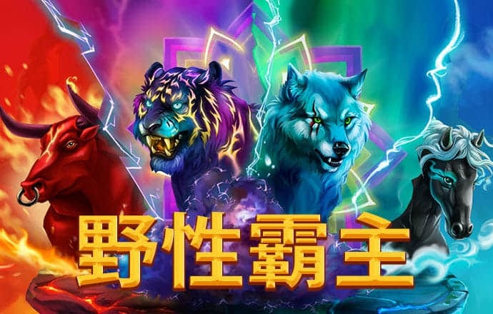 小鸟体育官网入口app